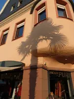 P1210333.webp