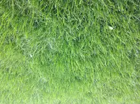 IMG_2364.webp
