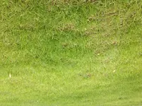 IMG_2365.webp