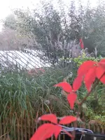 CIMG9277.webp