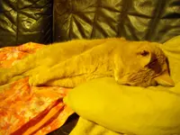 IMGP1233.webp