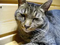 IMGP1231.webp