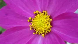 20141002_160254.webp