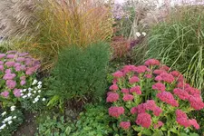 DSCF8051.webp