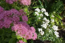 DSCF8049.webp