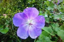 DSCF8055 (2).webp