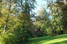 DSCF8231.webp