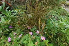 DSCF8039 (2).webp