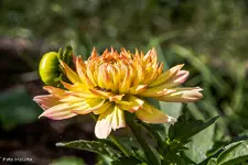 IMG_8923.webp