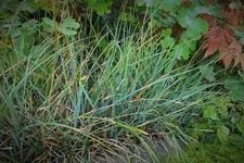 DSCF8265 (2).webp