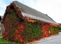 IMG_9361.webp