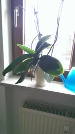 IMAG0014.webp