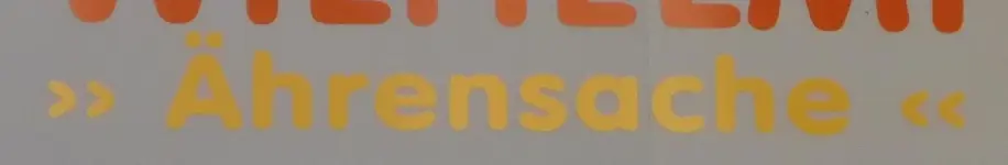 P1210336%2B-%2BKopie.webp