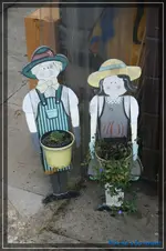 comp_DSC02352.webp