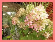 002.webp