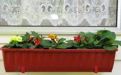 Copy of IMG_8966v.webp
