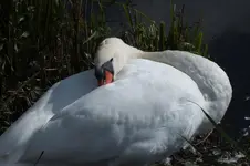 DSCF8135.webp