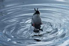 DSCF8113.webp