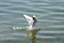 DSCF8170.webp