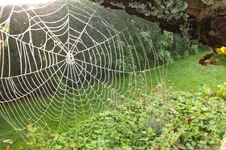 DSCF8145.webp