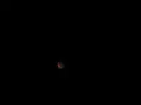 Copy of IMG_9203.webp