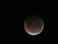Copy of IMG_9231.webp