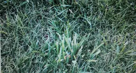 20141008_173437.webp