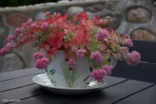 IMG_7361.webp