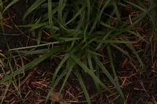 IMG_8225.webp