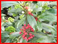 013.webp