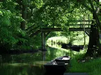 Luise-ac.webp