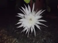 DSCF0458.webp