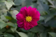 IMG_7407.webp