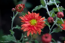 IMG_7408.webp