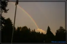 comp_DSC02360.webp