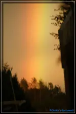 comp_DSC02364.webp