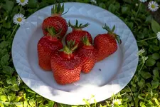 IMG_0858.webp
