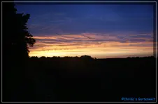 comp_DSC02369.webp