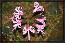 comp_DSC02358.webp