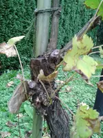 20141009_150803_resized.webp