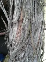 20141009_150647_resized.webp
