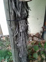 20141009_150528_resized.webp