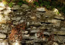 hrbst (6).webp