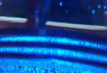 blue (8) GateToEscape.webp