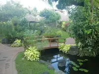 Bali 101.webp