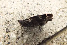 DSCF8293.webp