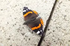 DSCF8298.webp