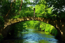 Himmelsbrücke_Sonnenstrahlen_grün_braun_Brücke.webp