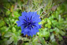 DSCF8362 (2).webp