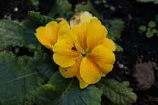 _DSC7375.webp